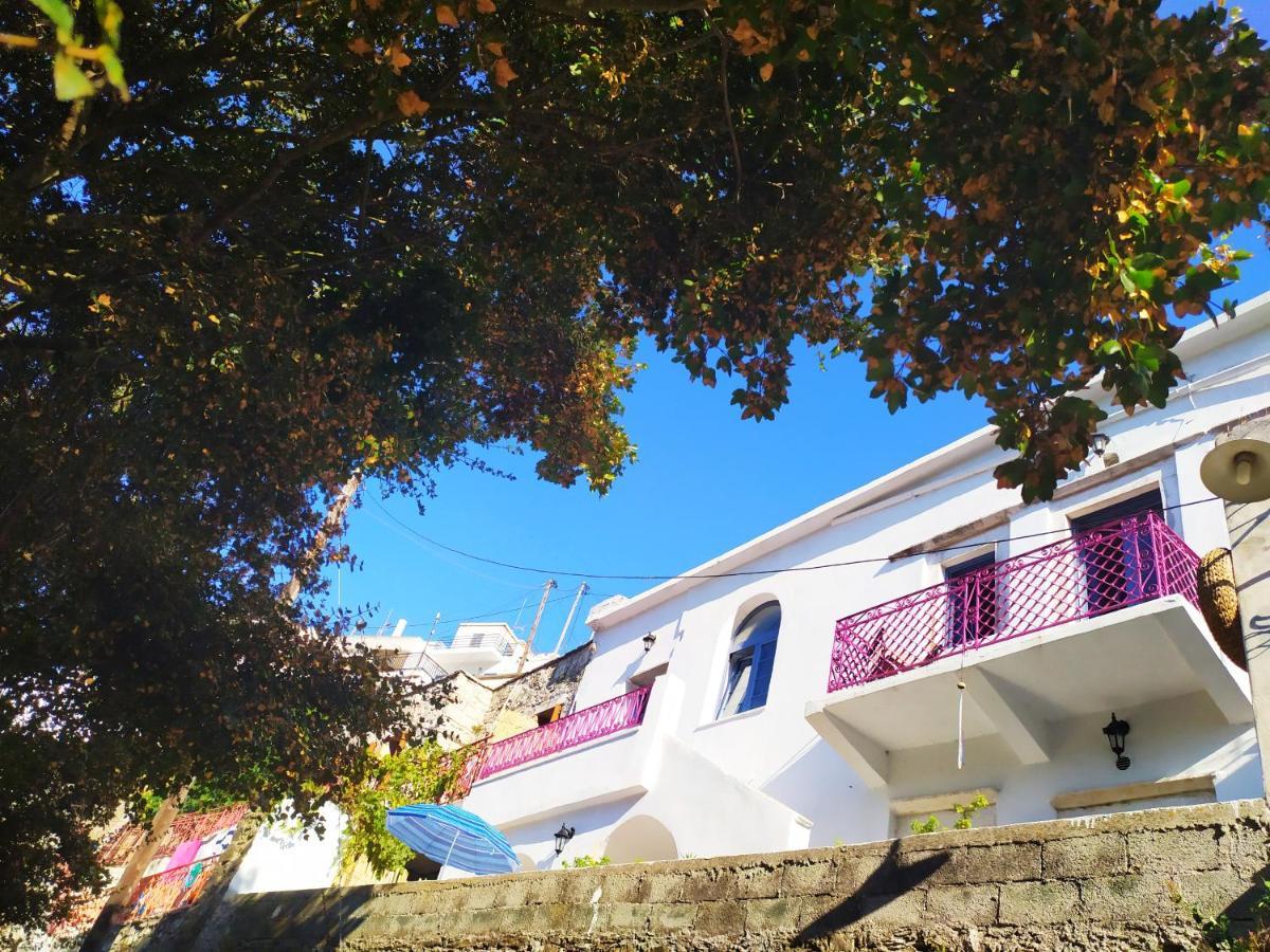 Traditional Family House, Ground Floor With Yard Koronos Exterior photo