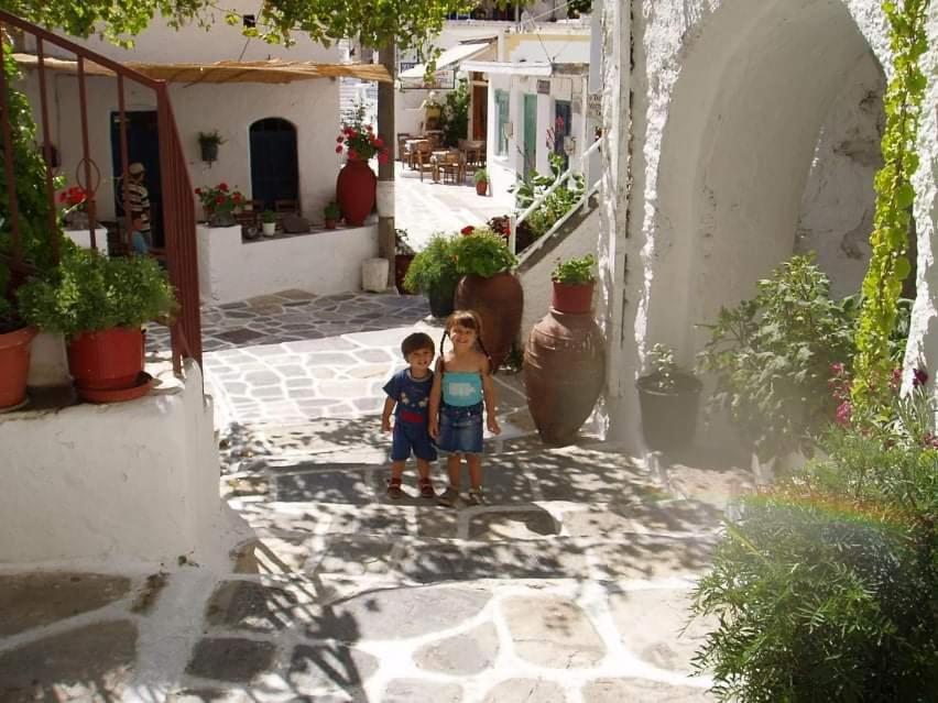 Traditional Family House, Ground Floor With Yard Koronos Exterior photo